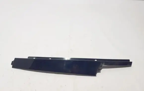 Land Rover Discovery Sport Front door glass trim molding