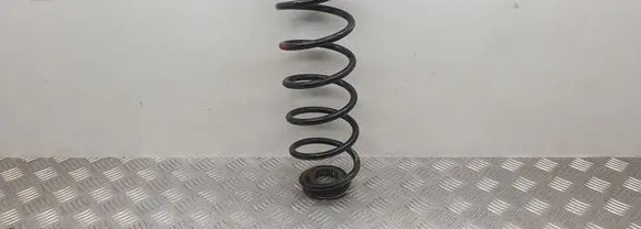 Peugeot 208 Rear coil spring 9836890080