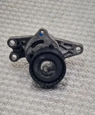 Peugeot 206 Generator/alternator belt tensioner 9652046680