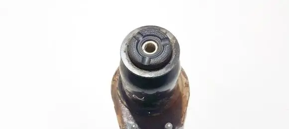 Coil spring mount