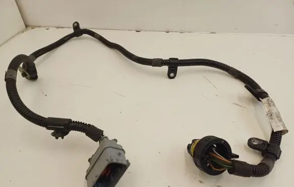 Maserati Quattroporte Other wiring loom 06700074020