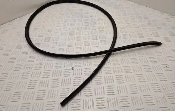 Peugeot Expert Sliding door rubber seal