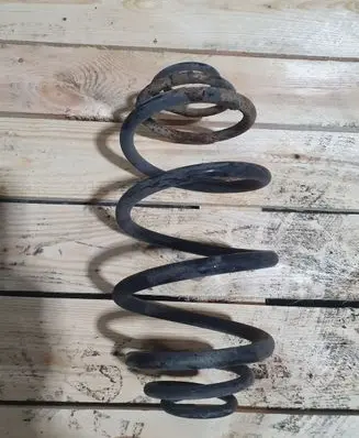 Rear coil spring