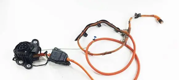 BMW X1 F48 F49 Battery charger (optional) 989551299 9895512 8798896