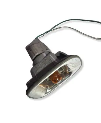 Toyota RAV 4 (XA20) Front fender indicator light 