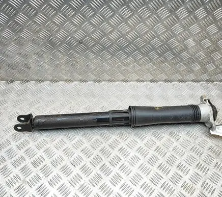 BYD Atto 3 Rear shock absorber/damper SC2EE2915
