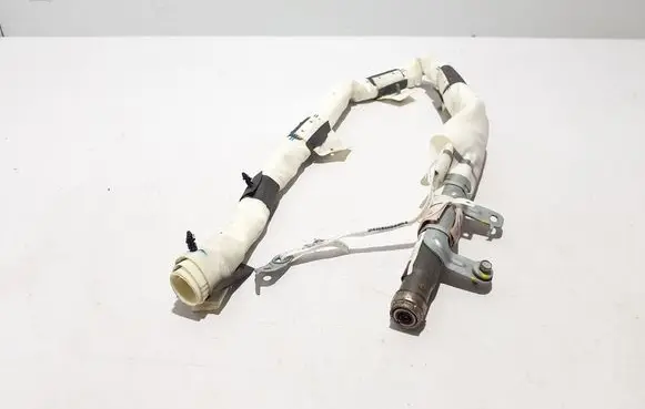 Tesla Model X Roof airbag 103675600F