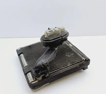 Volkswagen PASSAT B6 Air conditioning (A/C) radiator (interior) 