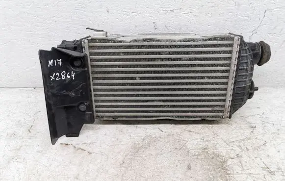Hyundai Tucson IV NX4 Intercooler radiator 282702M400