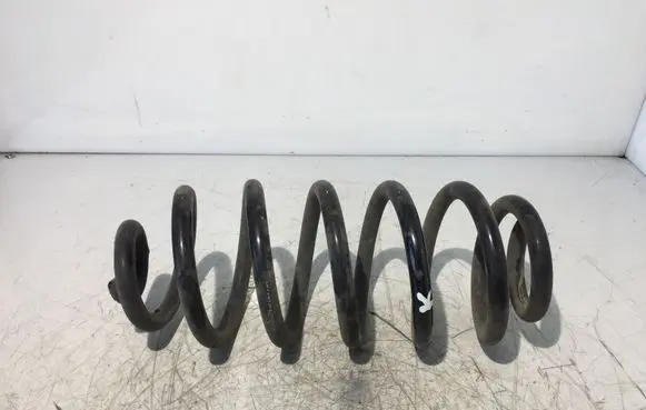 Peugeot Expert Rear coil spring