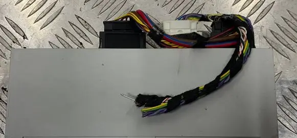 BMW 3 F30 F35 F31 Tailgate/trunk control unit/module F005V01610