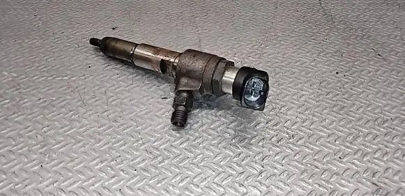 Citroen C5 Fuel injector 50274V05 9674973080