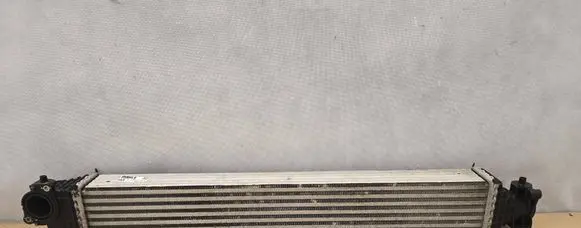 Honda Civic X Intercooler radiator FN255004 197105AAA0 0003060