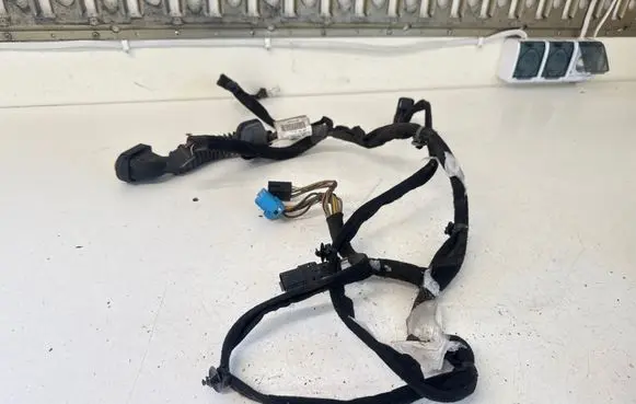 Renault Trafic II (X83) Front door wiring loom 93856543 10232EQ 8200488928
