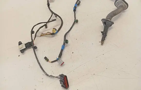 Front door wiring loom