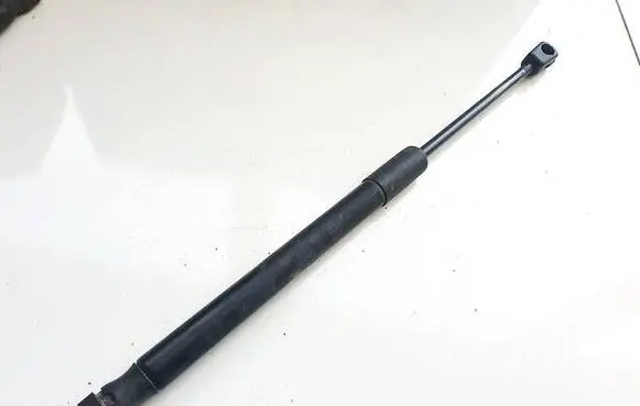 Tailgate/trunk strut/damper