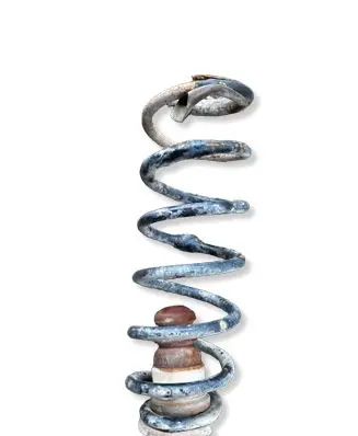 Citroen Berlingo Rear coil spring 
