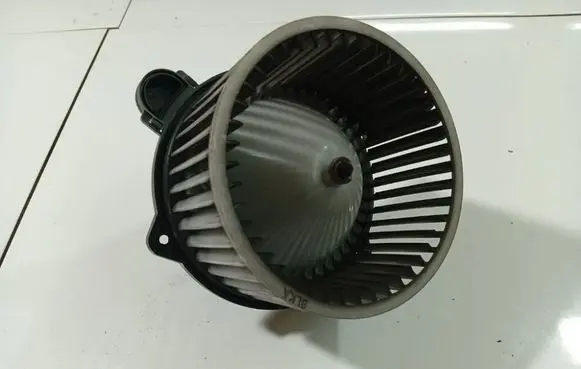 Hyundai Sonata Heater fan/blower F00S330024