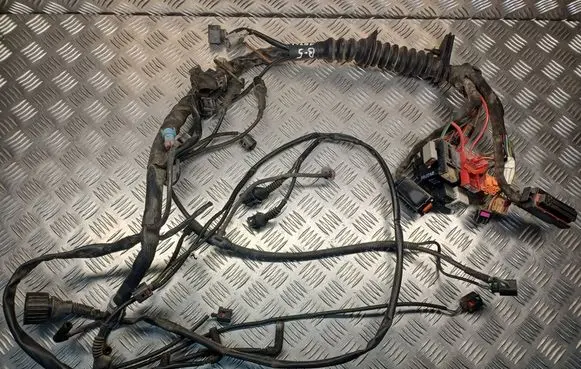 Volkswagen PASSAT B5.5 Engine installation wiring loom 8D0971871A