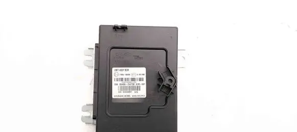Hyundai Santa Fe Other devices 954002W750