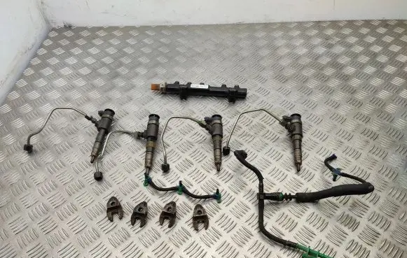 Citroen C4 Cactus Fuel injection system set 0445110566 9804776780 9676643880
