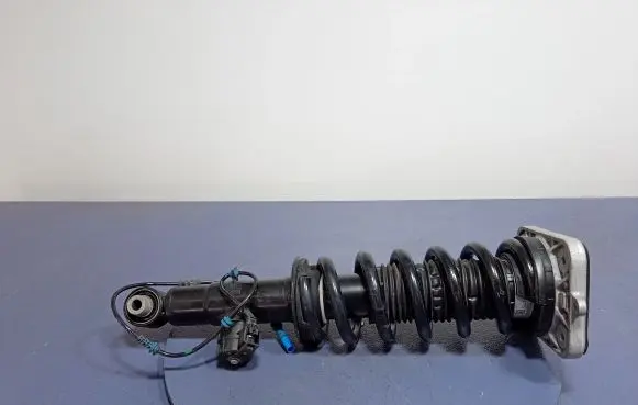 BMW X5 G05 Rear shock absorber/damper