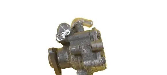 Audi Q7 4L Power steering pump 7L8422154ES BUG