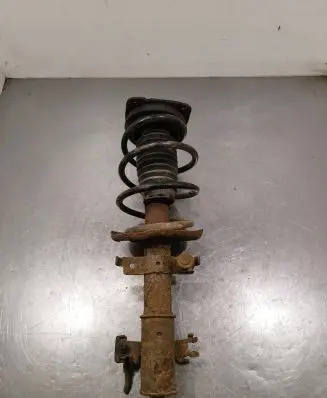 Renault Laguna III Front shock absorber with coil spring