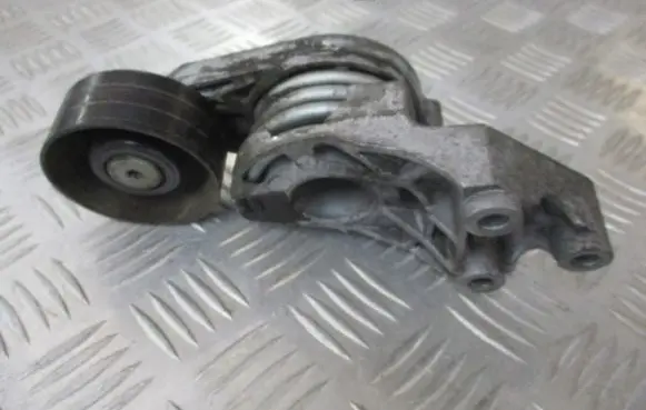 Seat Ibiza III (6L) Alternator belt tensioner pulley 