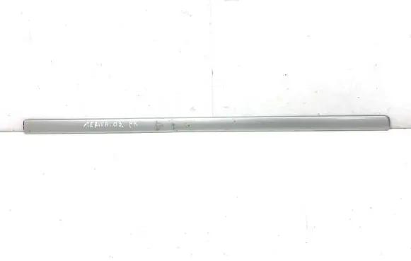 Front door trim (molding)