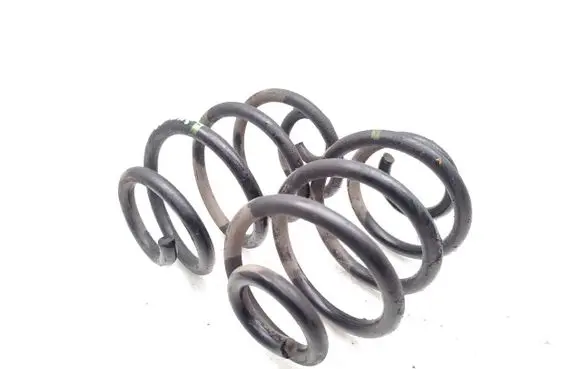Rear coil spring