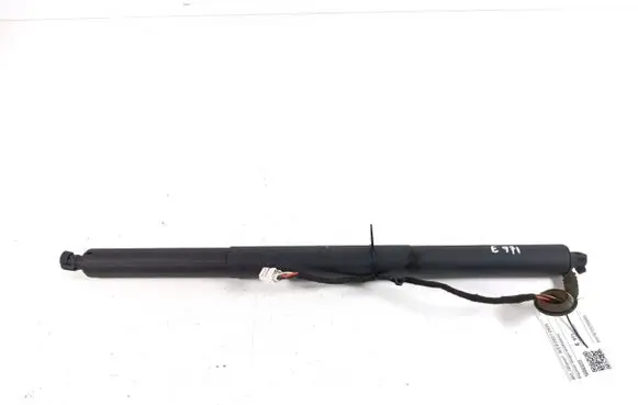 Tailgate strut