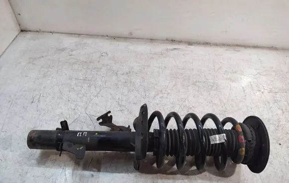 Land Rover Discovery Sport Front shock absorber with coil spring