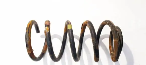 Hyundai Santa Fe Rear coil spring