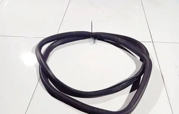 Opel Insignia A Rubber seal front coupe door 