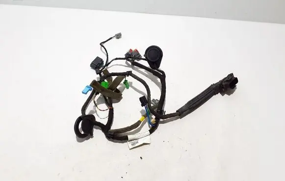 Other wiring loom