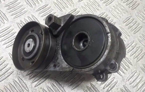 Audi A6 Allroad C5 Alternator belt tensioner pulley 950440