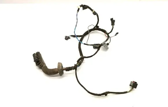 Front door wiring loom