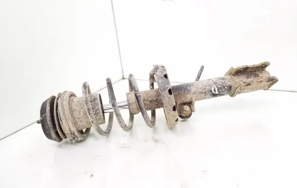 Front shock absorber with coil spring