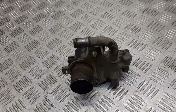 Renault Clio III EGR valve D-501916000
