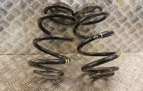 Renault Trafic III (X82) Rear coil spring