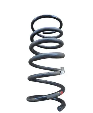 Rear coil spring