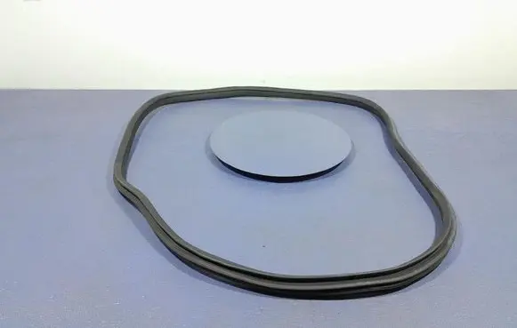 BMW 2 F45 Front door rubber seal 7483099