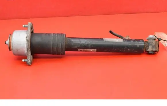 BMW X5 E70 Rear shock absorber/damper 6781922