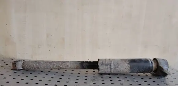 Rear shock absorber/damper