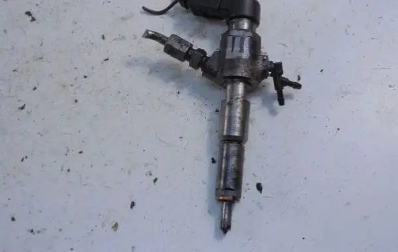 Citroen C3 Fuel injector 9655304880