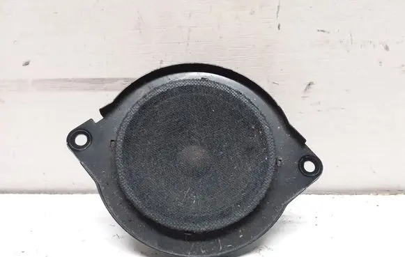 Panel speaker
