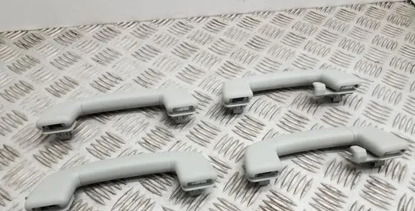 Skoda Superb B8 (3V) A set of handles for the ceiling 3V0857643 3V0857607