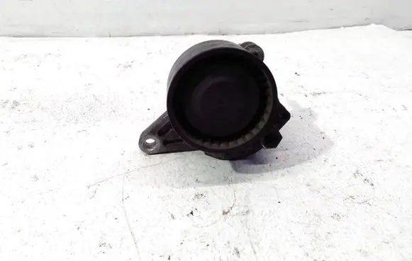 Nissan Qashqai Alternator belt tensioner 117505337R