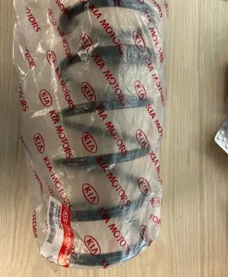 KIA Picanto Front coil spring 5463007200